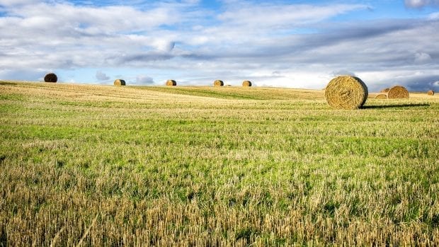 MOP Boley - Real Estate - Iowa Land Experts