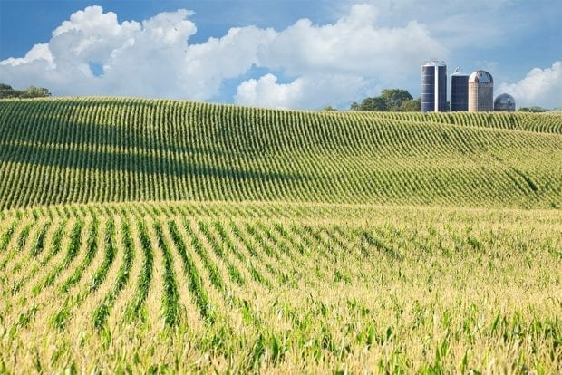 Iowa Corn Farm For Sale