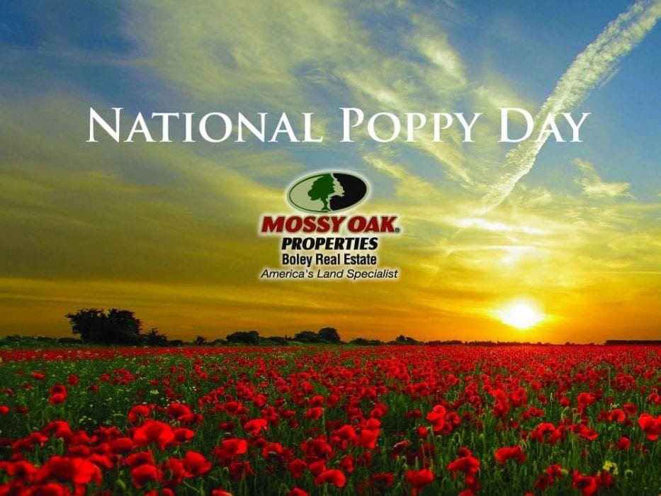 National Poppy Day