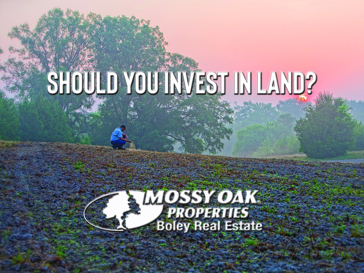 should you invest in land