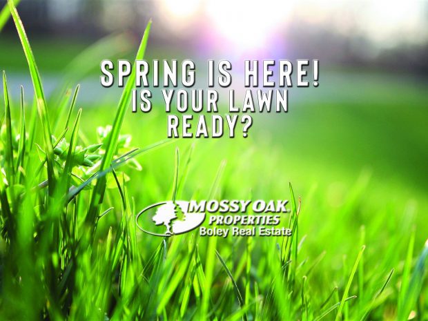 Spring Lawn Care Mop Boley Real Estate