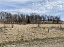 31 m/l acres for sale in Monroe County, IA