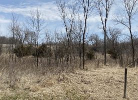 31 m/l acres for sale in Monroe County, IA