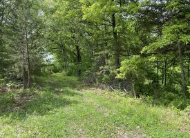 35 acres Van Buren County, Iowa land for sale