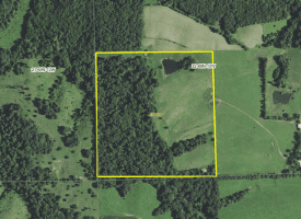 Secluded 40 acres for sale in Davis County, IA