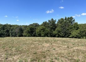 Secluded 40 acres for sale in Davis County, IA