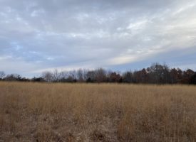62 acre property for sale in Van Buren County, IA
